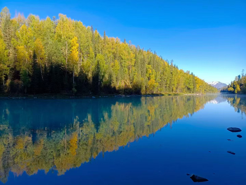 微信圖片_20240923160337.jpg 微信圖片_20240923160337.jpg